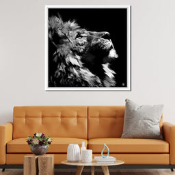 Lion Stare - Andy Brackpool - NicheCanvas