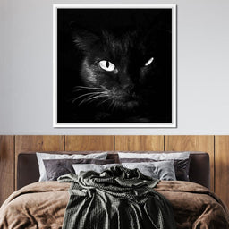Black and White Cat - NicheCanvas