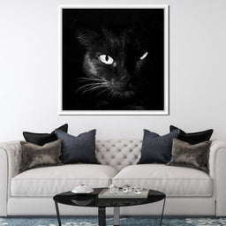 Black and White Cat - NicheCanvas
