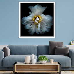 Backyard Flowers Series 4 - Brian Carson - NicheCanvas