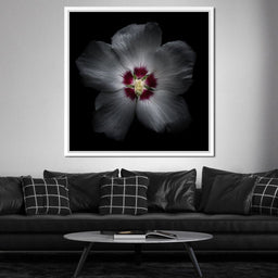 Backyard Flowers Color Version - Brian Carson - NicheCanvas