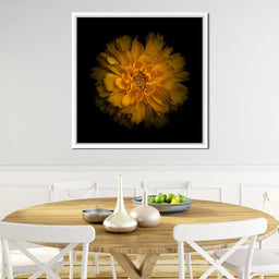 Orange Background Flowers - Brian Carson - NicheCanvas