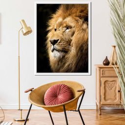 Lion View - Milos Karanovic - NicheCanvas