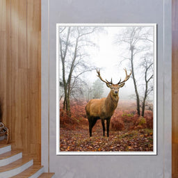 Red Deer Stag - NicheCanvas