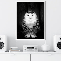 Black and White Snowy Owl - NicheCanvas
