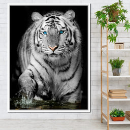 Blue Eyed Snow Tiger - NicheCanvas
