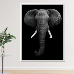 Black and White Elephant Face - NicheCanvas