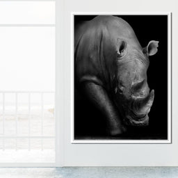 Black and White Rhino - NicheCanvas