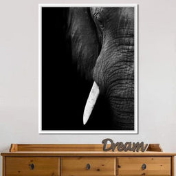 Black and White Elephant Close up - NicheCanvas