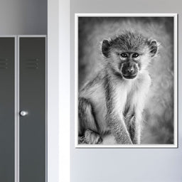 Monkey in Black & White - NicheCanvas