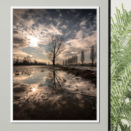 Reflections - Enzo - NicheCanvas