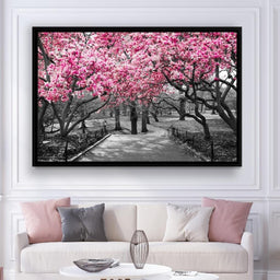 Pink Blossoms in Black and White