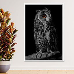 Black & White Owl - NicheCanvas