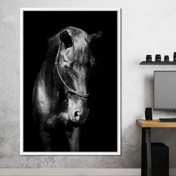 Black & White Horse Head | NicheCanvas