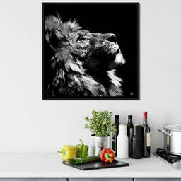 Lion Stare - Andy Brackpool - NicheCanvas