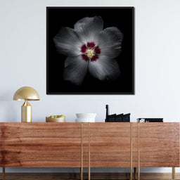 Backyard Flowers Color Version - Brian Carson - NicheCanvas