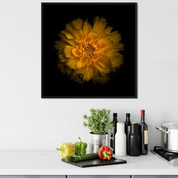 Orange Background Flowers - Brian Carson - NicheCanvas