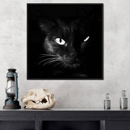 Black and White Cat - NicheCanvas