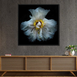 Backyard Flowers Series 4 - Brian Carson - NicheCanvas