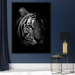 Black and White Fading Tiger - NicheCanvas