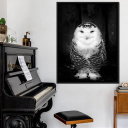 Black and White Snowy Owl - NicheCanvas