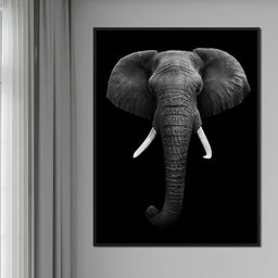 Black and White Elephant Face - NicheCanvas