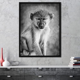 Monkey in Black & White - NicheCanvas