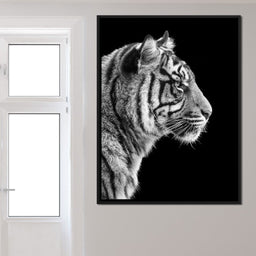 Black and White Sumatran Tiger - NicheCanvas