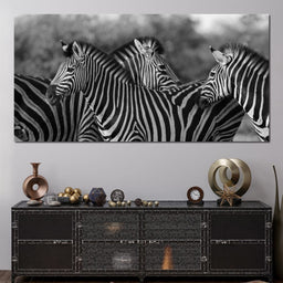 Zebra Herd in Black & White - NicheCanvas