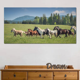 Horses of all Colors Running in a Pasture - Terrie Gray - NicheCanvas