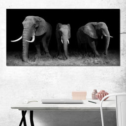 Black and White Elephants - NicheCanvas