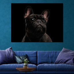 Black French Bulldog - NicheCanvas