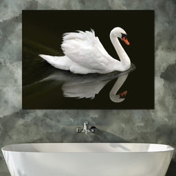 Swan - Ben Heine - NicheCanvas