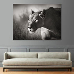 Lioness - NicheCanvas