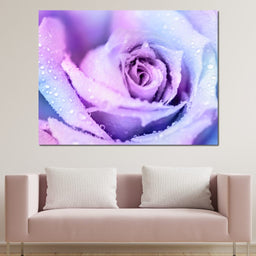 Winter Rose - NicheCanvas