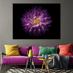 Backyard Flowers Series 1 - Brian Carson - NicheCanvas