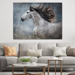 andalusian horse - NicheCanvas