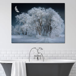 Winter Snow Forest - Johanjjf - NicheCanvas