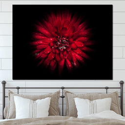 Backyard Flowers 45 - Brian Carson - NicheCanvas