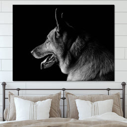 Black and White German Shepherd - NicheCanvas