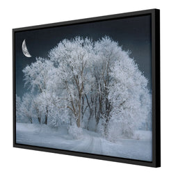 Winter Snow Forest - Johanjjf