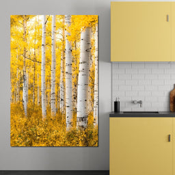 Yellow Forest - Colorado - Lucas Moore - NicheCanvas