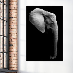 Black and White Elephant Head - NicheCanvas