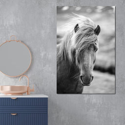 Icelandic Horse - NicheCanvas