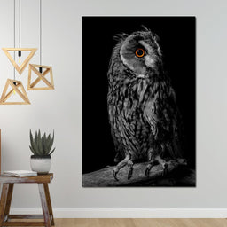 Black & White Owl - NicheCanvas