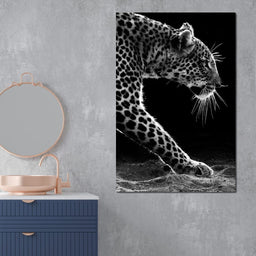 Black and white Leopard - NicheCanvas