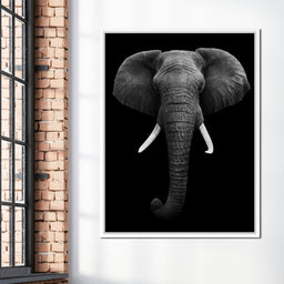Black and White Elephant Face - NicheCanvas