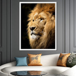 Lion View - Milos Karanovic - NicheCanvas