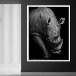 Black and White Rhino - NicheCanvas