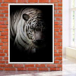 Black and White Tiger - NicheCanvas